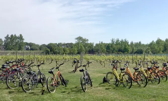 Winery Bike Tour for One or Two from Pour & Pedal (Up to 58% Off) - Second Medium