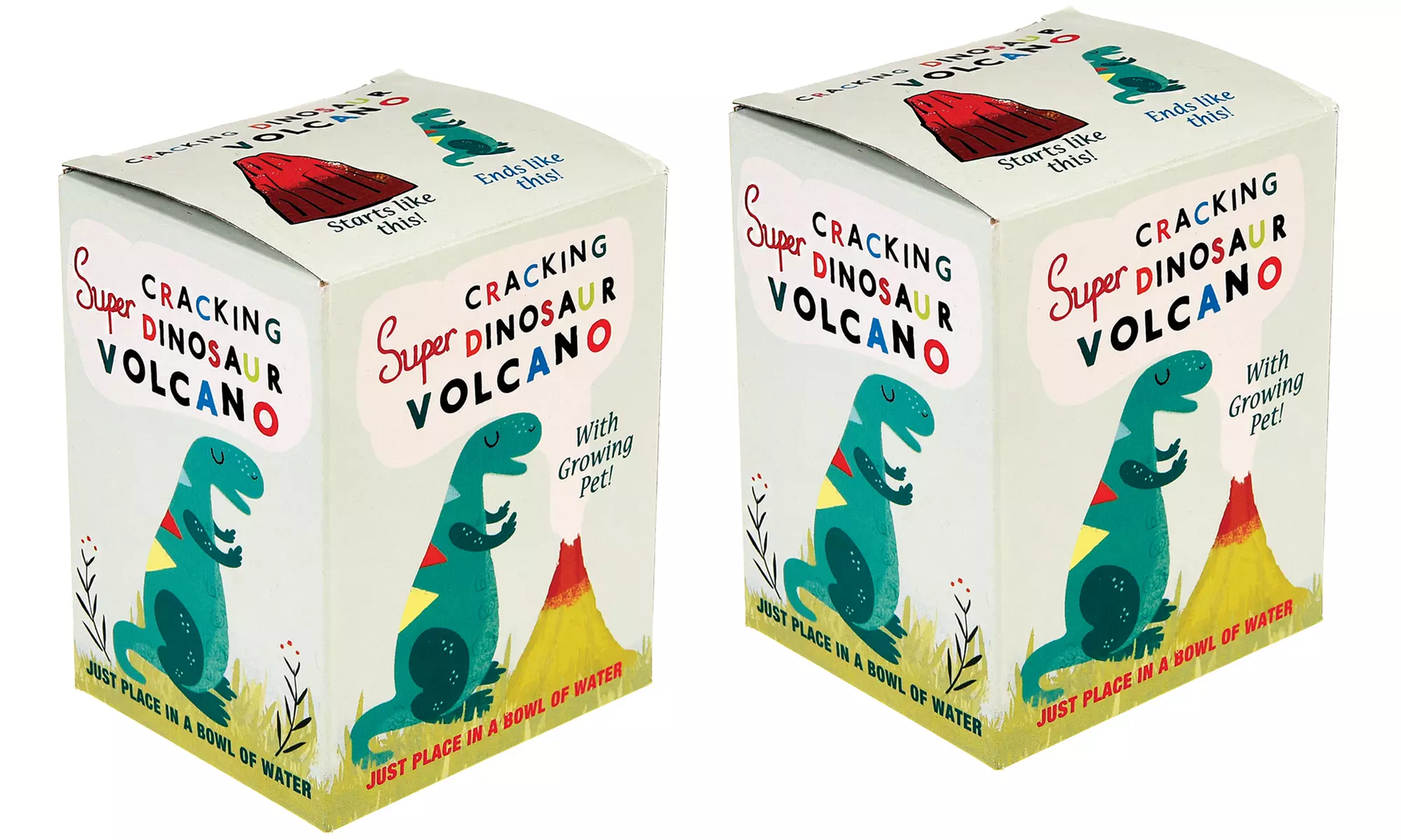 1 ou 2 œufs à éclore du volcan dinosaure - Image 4
