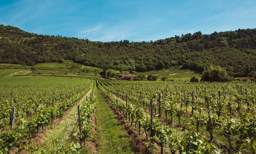 Image 1: Visita cantine e degustazione