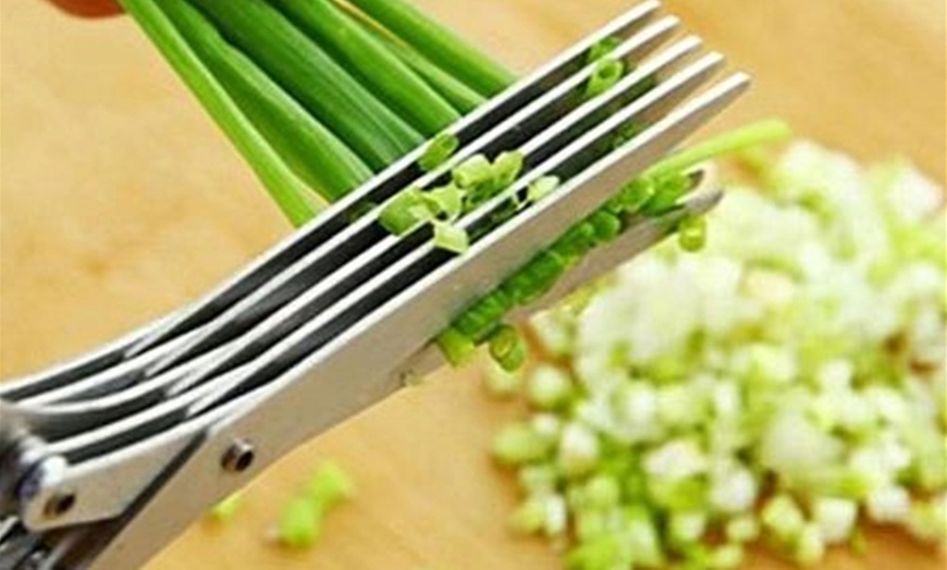 Image 7: Five-Layered Vegetable Cutting Scissors 