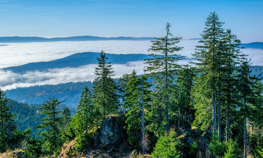 Image 1: Bayerischer Wald: 2-5 Nächte mit All Inclusive und Sauna