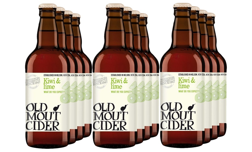 Image 2: 12 Bottles Old Mout Cider 500ml