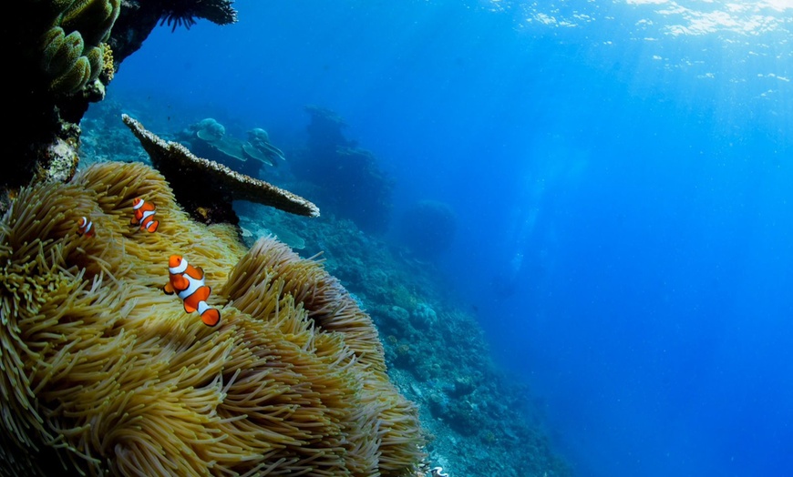 Image 3: Open Water Scuba Diver course at Goblin Diving Center