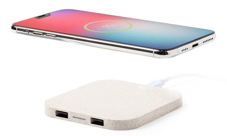 Caricabatterie wireless Smartek con 2 uscite USB