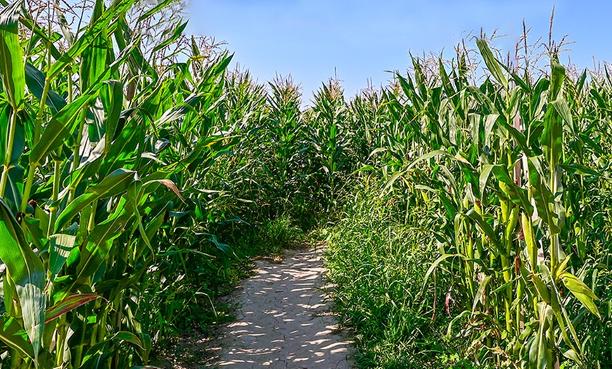 Image 6: Entrée au Pop Corn Labyrinthe