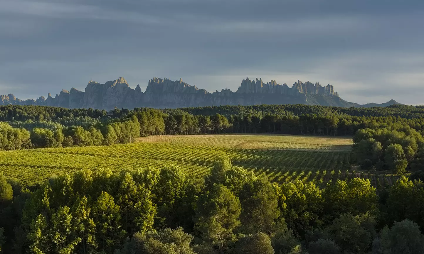 Ruta a caballo de 1 h en Montserrat con guía experto para 1 o 2