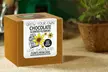 One or Two Grow Your Own Plant Kits: Chocolate Flowers, Arabica Coffee or Camomile Tea - Second Medium