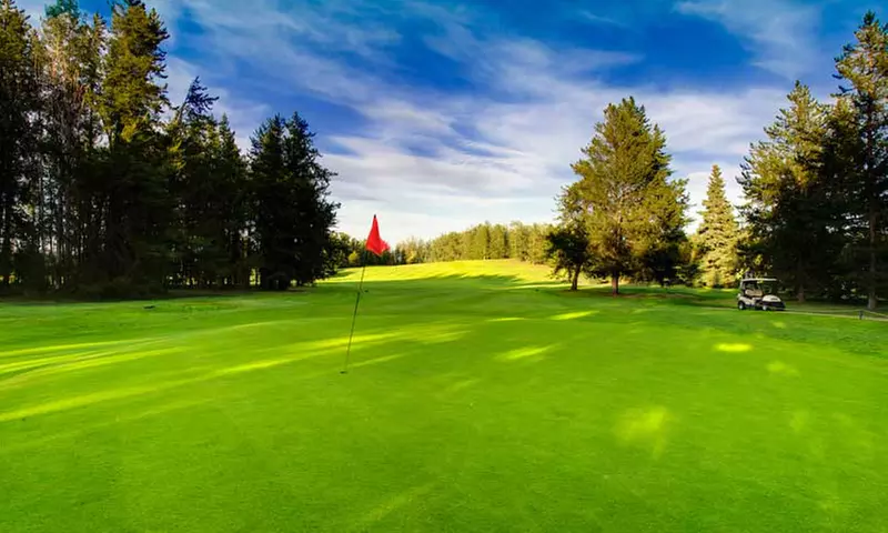 Par-tee Time: Experience Golfing Bliss with Friends and Share the Fun with a Shared Cart for 12 Holes! - Primary Image