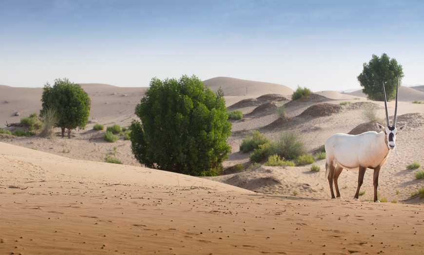 Image 19: Al Ain: 5* Desert Getaway Package