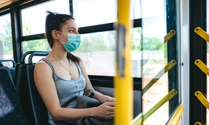  Disposable Three-Ply Face Masks 