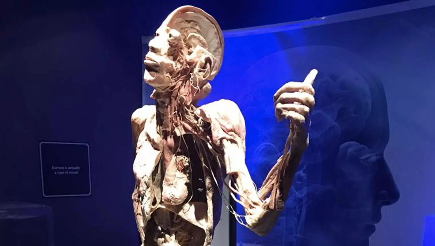 Bodies 2.0 The Exhibition at Santa Monica 3rd Street Promenade, Weekday or Weekend Options Available (up to 20% off) - Primary Image