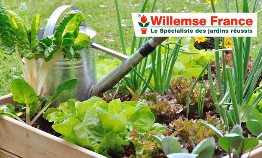 Willemse: Balcons Et Jardins Fleuris - Willemse France | Groupon