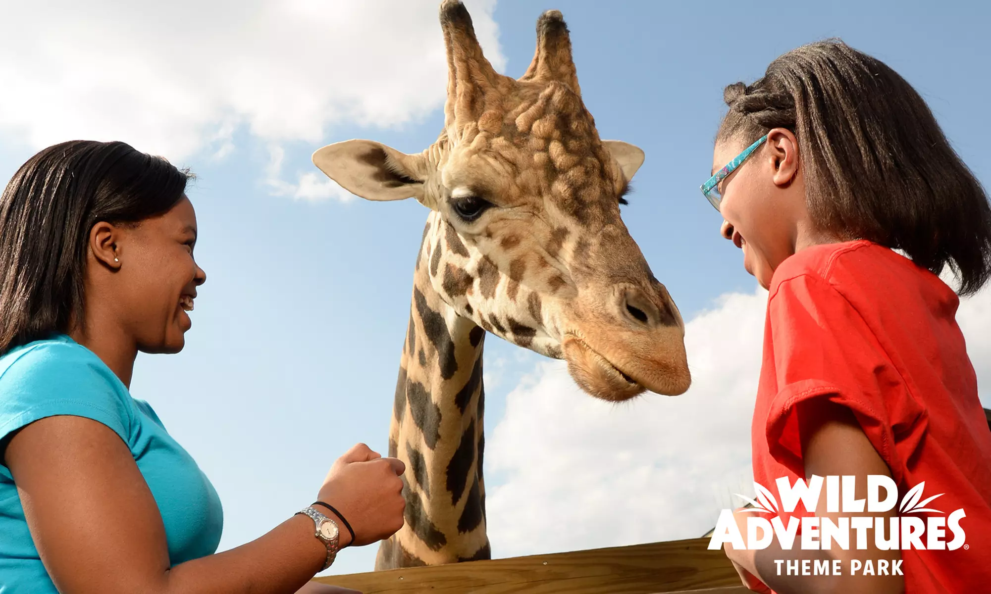 Wild Adventures Theme Park: Single Day Admission, Silver or Gold Pass