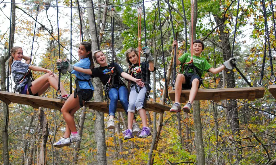 Up to 25% Off on Amusement Park Ride at Ultimate Zipline Adventures - Primary Image