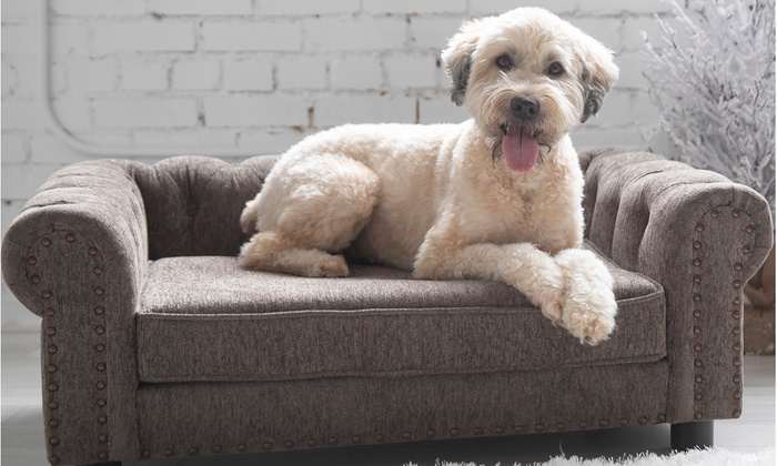 la-z-boy newton sofa bed for pet