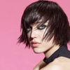 Image 1: Get a Haircut with Blowdry, Single Process Color, or Partial Foil