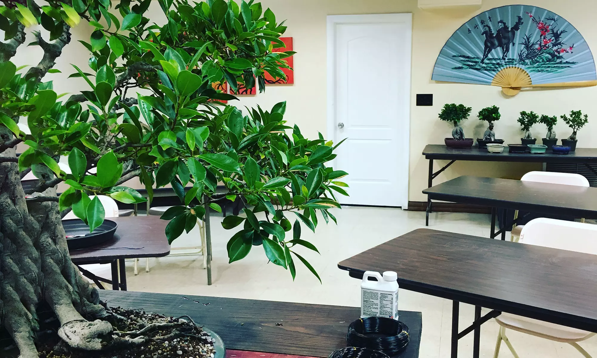 Bonsai Party Introductory Wiring Class for One or Two at The Bonsai Supply (Up to 38% Off) - Primary Image