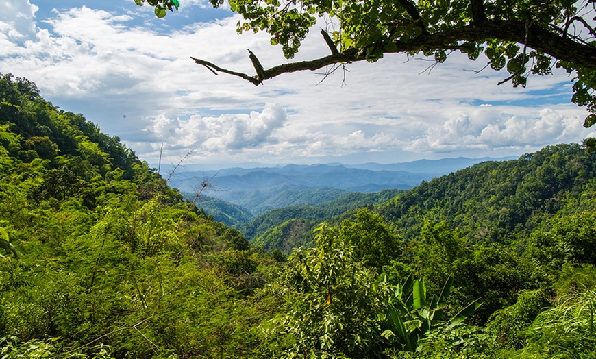 Image 7: Chiang Mai: 4N Tropical Escape