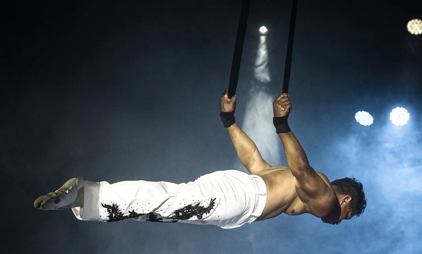 Image 7: Entrada para niño o adulto a Circo Berlín en Málaga