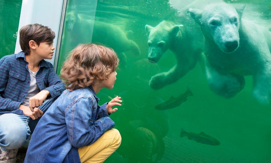 Image 3: Tagesticket Ouwehands Zoo Rhenen