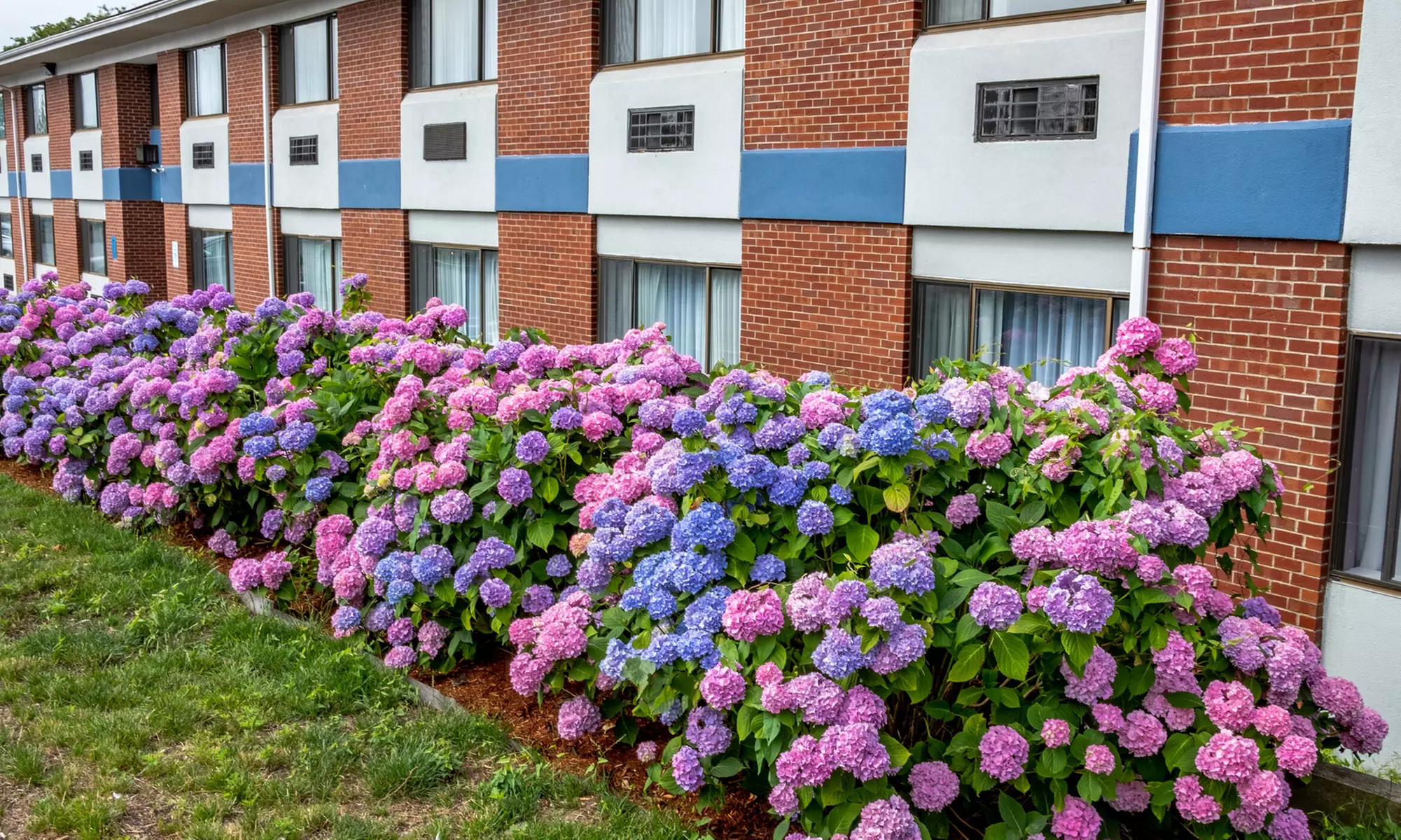 Stay at Hyannis Plaza Hotel, Barnstable!