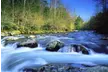 Experience White Water Rafting for Up to 6 People in Upper Pigeon River w/ Rapid Expeditions (Up to 25% Off) - Second Medium