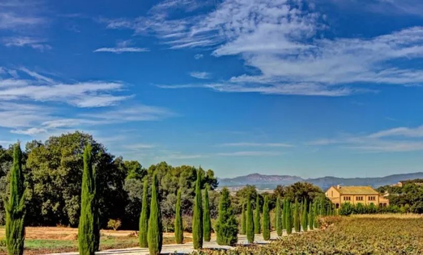 Image 3: Cata de vinos y paseo por el viñedo de Can Roda Bodega