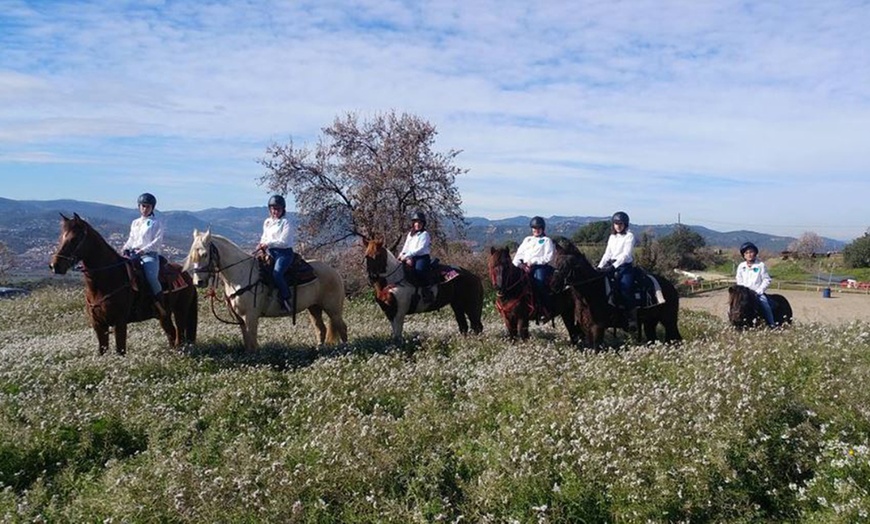 Image 3: Día de aventuras: ruta a caballo para hasta 4 personas de 60 minutos