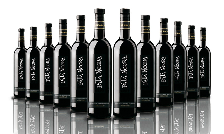 Image 1: 12 Bottles of Pata Negra Red Wine
