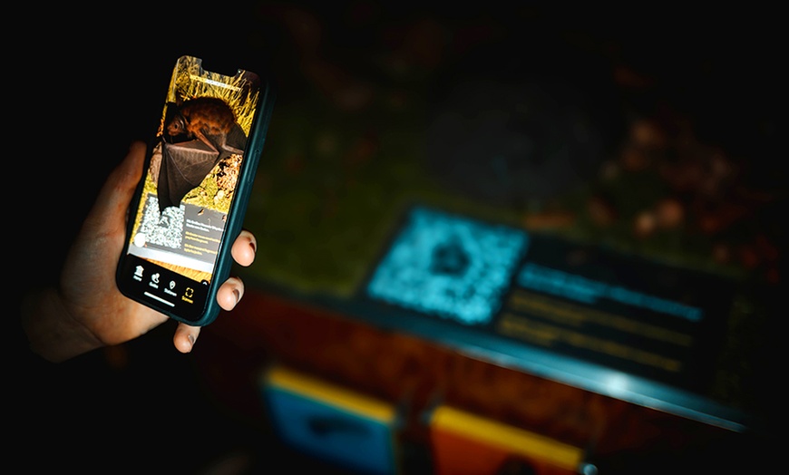 Image 7: Eintritt für die Fledermaus-Erlebnisausstellung inkl. Getränk 