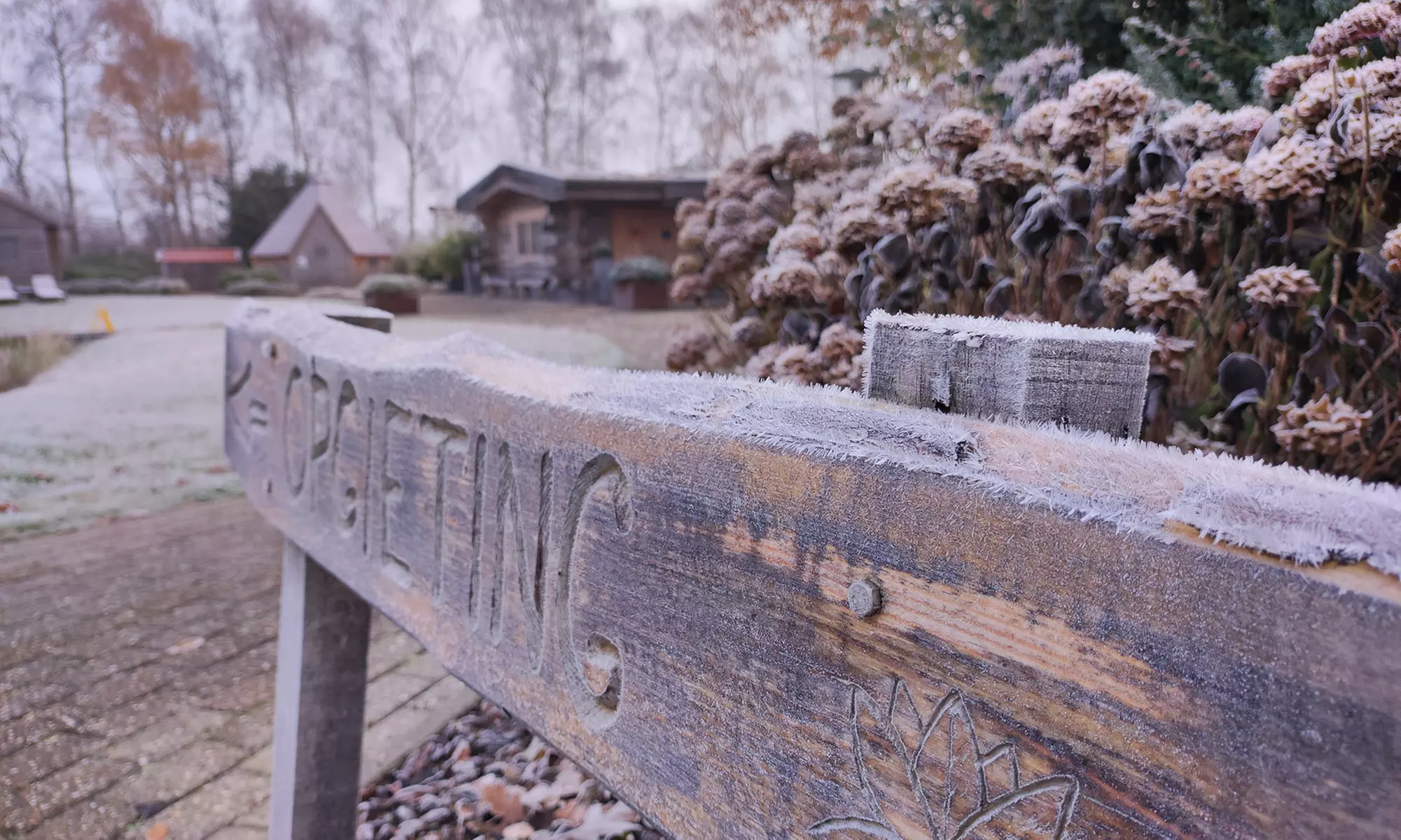 Geniet van diverse sauna's in een groene oase