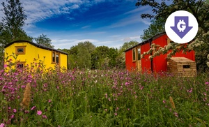 Lancashire: Shepherd's Hut for Four