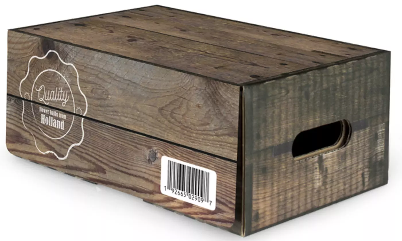 Classic Dutch Garden Kit (125 Bulbs) - Image 3