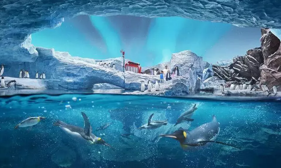 One or Two Park Pass with AbuDhabi Tour at Royal Smart Tourism!