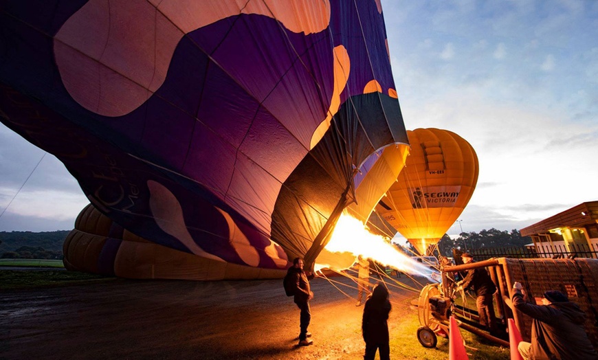 Image 8: Soar Over Yarra Valley with Go Wild Ballooning: 35 Years of Excellence