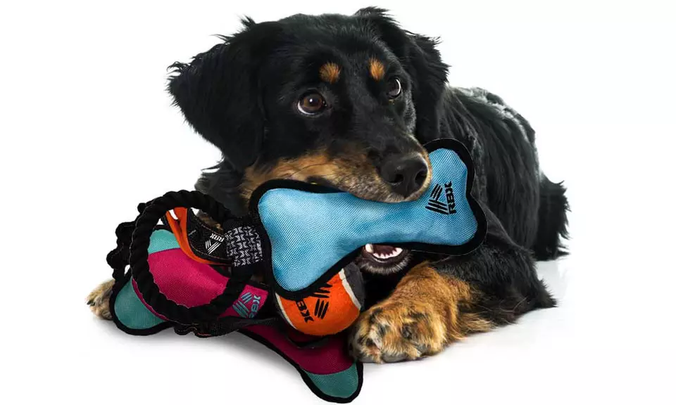 RBX Assorted Dog Toys (3-Pack) - Primary Image