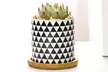Lot de 3 pots de fleurs en céramique pour succulentes, modèle au choix - Image 3