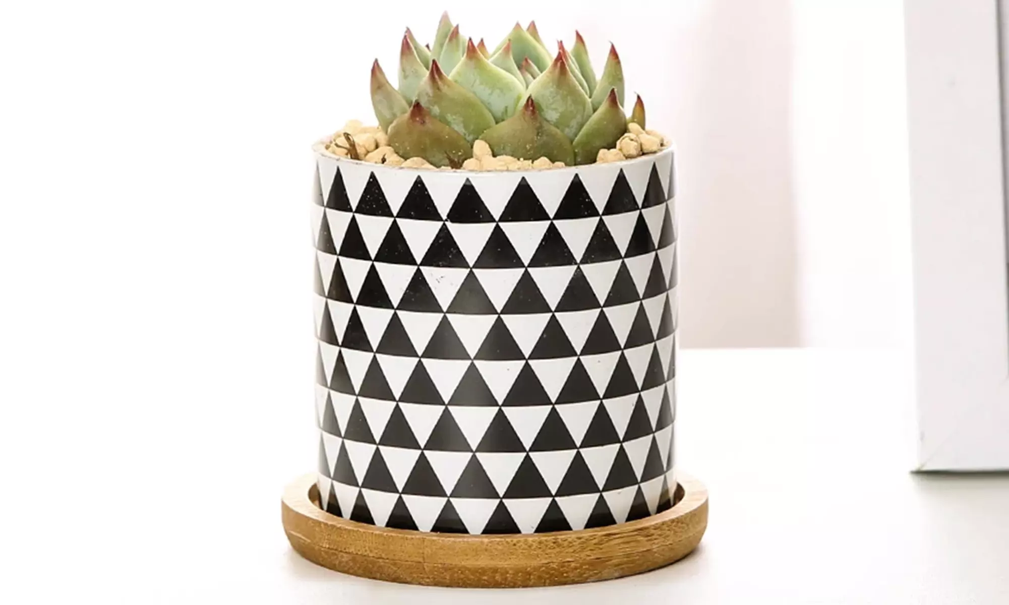 Lot de 3 pots de fleurs en céramique pour succulentes