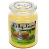 Image 5: Lilly Lane 18oz Candle in Jar