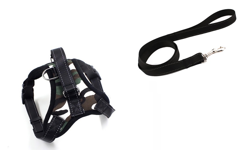 Image 3: Dog Harness with Leash 