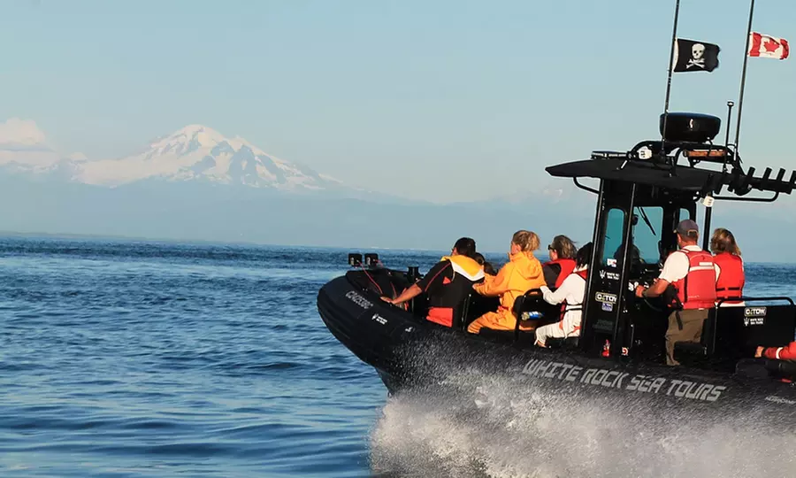Whale Watching Tour for One, Two or Four People at White Rock Sea Tours and Whale Watching (Up to 44% Off) - Second Medium