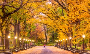 Get a Self-Guided Walking Tour of Central Park for One, Two, or Four at Action Tour Guide (Up to 45% Off)