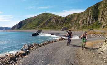 Two-Hour Mountain Bike Hire