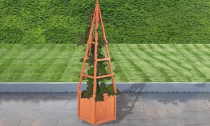 Obelisk Climbing Planter 