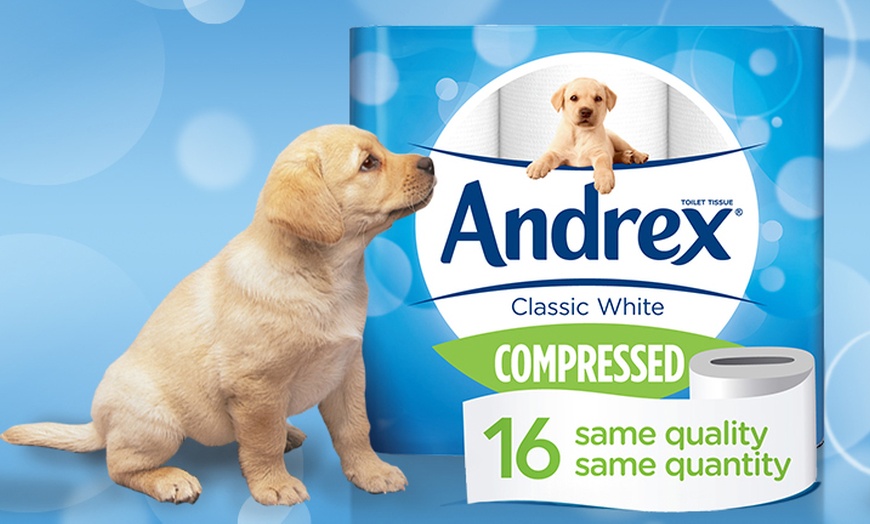 Image 8: Andrex Toilet Paper