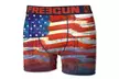 Pack de 5 Boxers de la marque Freegun pour Homme collection Flag - Second Medium