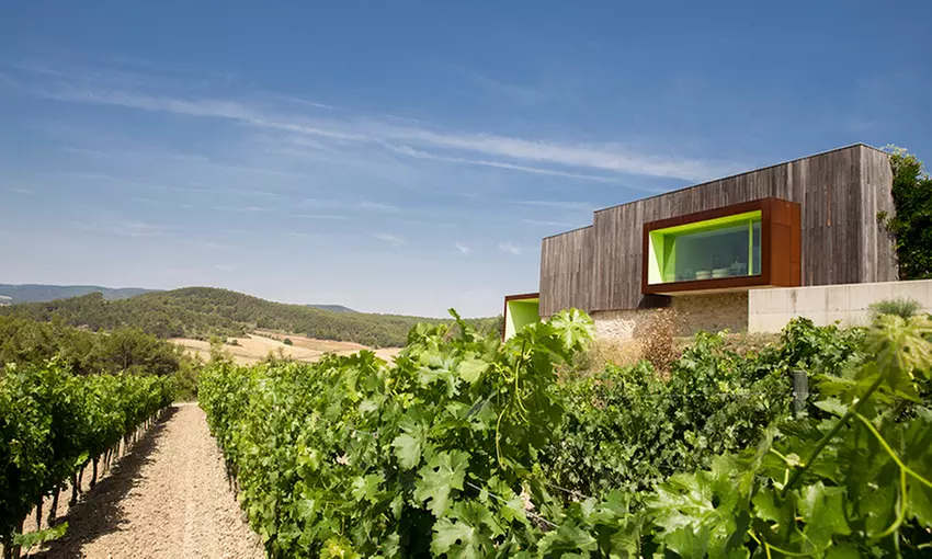 Paseo por viñedo, visita a bodegas y cata de 3 vinos para 1 o 2