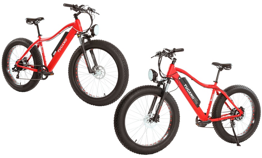 Image 4: Monster eBike MTB