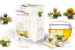 Creano's Tealini Teeblüten Geschenkset ​(bis zu 2,00€/Stk.) - Second Medium