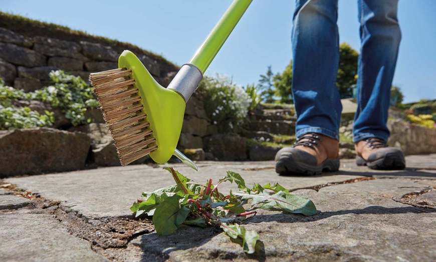 Image 4: Two-in-One Garden Brush